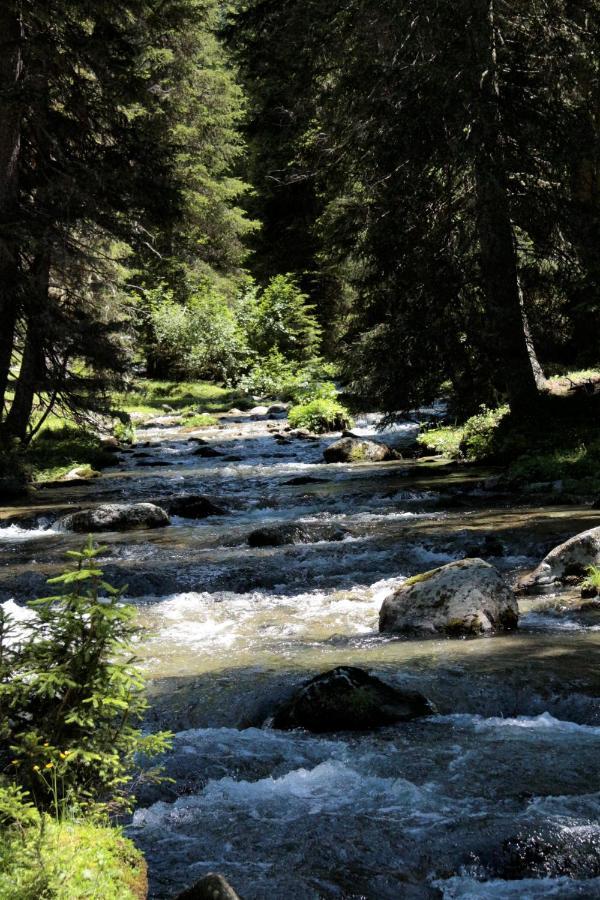Bergnest Oetztal - Appartements Umhausen Dış mekan fotoğraf